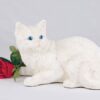 Companion Series cat cremation urn shorthair white