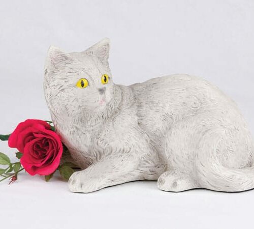 Companion Series cat cremation urn shorthair all gray