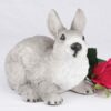 Rabbit - Gray & White figurine cremation urn for ashes