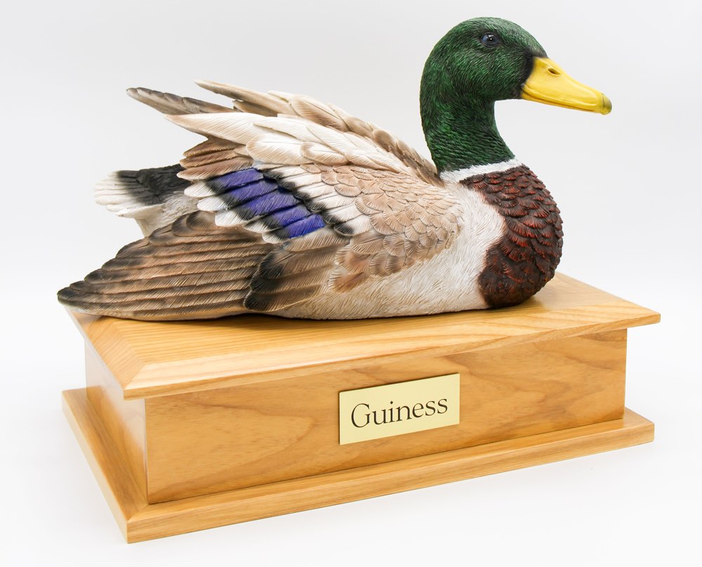 Duck Decoy Urn for dog Male Mallard Coloring on wooden storage box