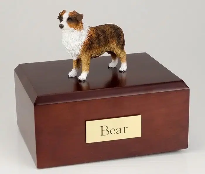 Australian Shepherd Dog figurine cremation urn w/wood box