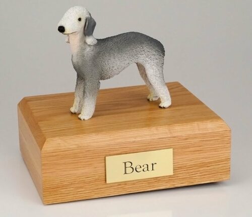 Bedlington Terrier