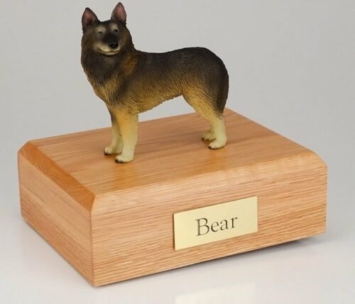 Belgian Tervuren