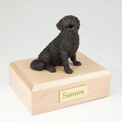 Bernese Mountain Dog figurine cremation urn w/wood box