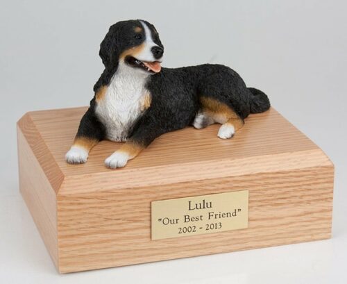 Bernese Mountain Dog