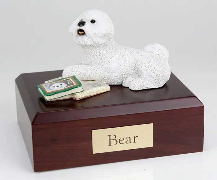 Bichon Frise figurine cremation urn w/wood box