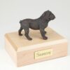 Bulldog bronze look figurine cremation urn w/wood box