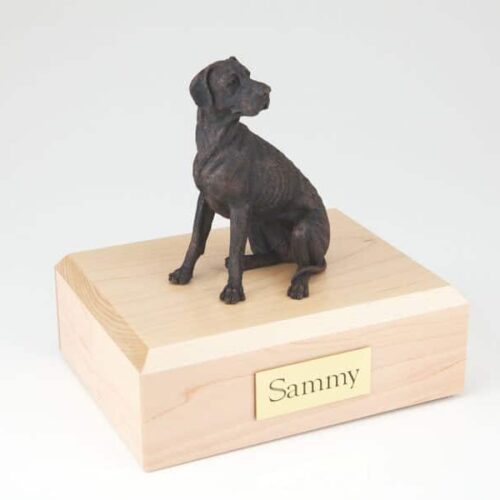 Bronze look Great Dane figurine cremation urn w/wood box