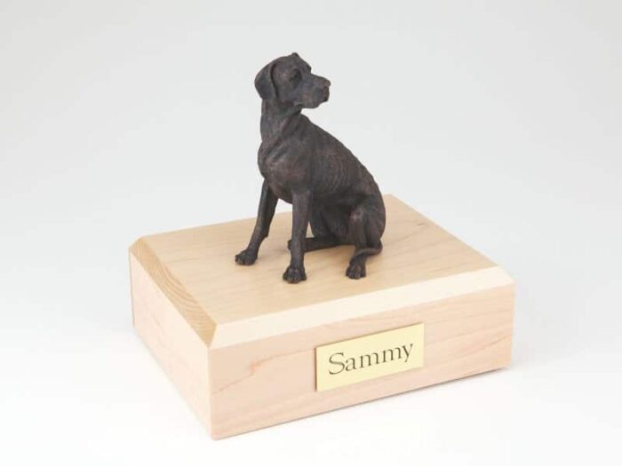 Bronze look Great Dane figurine cremation urn w/wood box