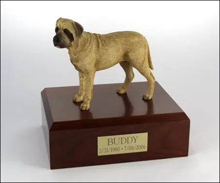 Bull Mastiff figurine cremation urn w/wood box