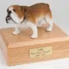 Bulldog figurine cremation urn w/wood box