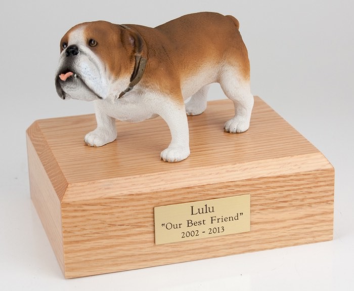 Bulldog figurine cremation urn w/wood box