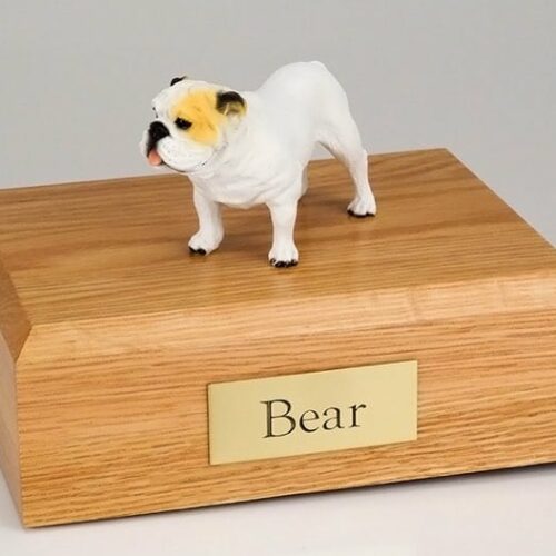 Bulldog white figurine cremation urn w/wood box