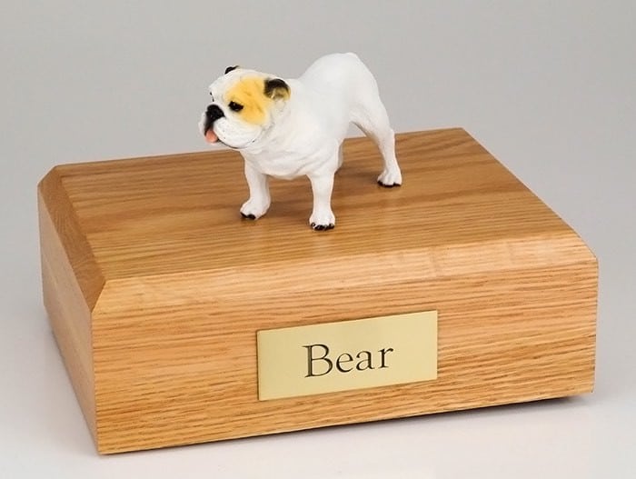 Bulldog white figurine cremation urn w/wood box