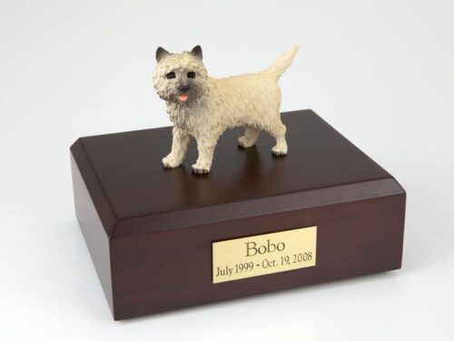 Cairn Terrier