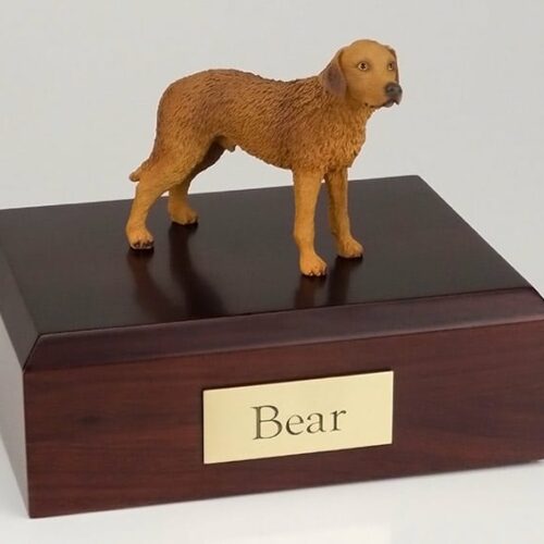 Chesapeake Bay Retriever figurine cremation urn w/wood box