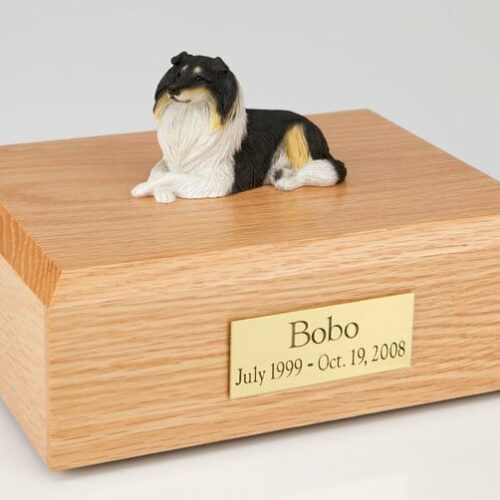 Collie figurine cremation urn w/wood box