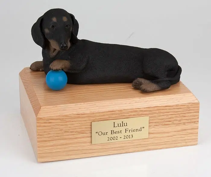 Black Dachshund figurine cremation urn w/wood box