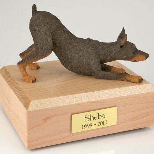 Doberman figurine cremation urn w/wood box