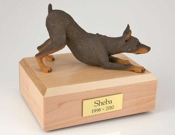 Doberman figurine cremation urn w/wood box