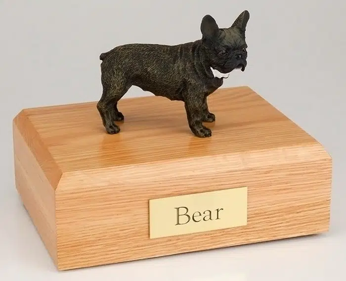 French Bull figurine cremation urn w/wood box