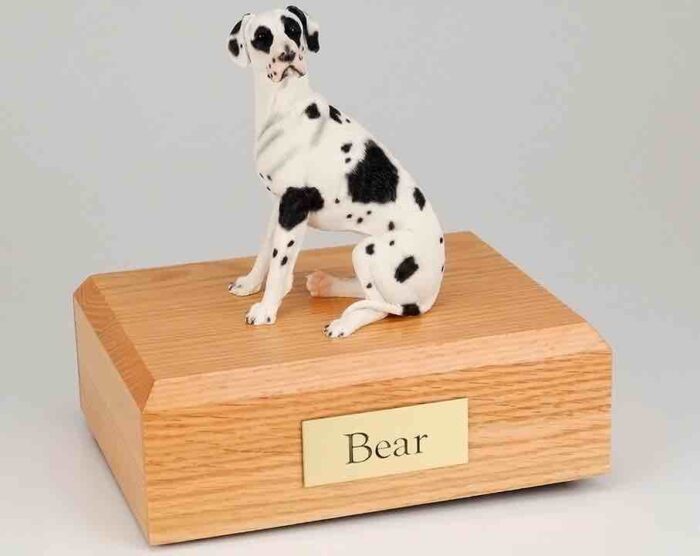 Great Dane figurine cremation urn w/wood box