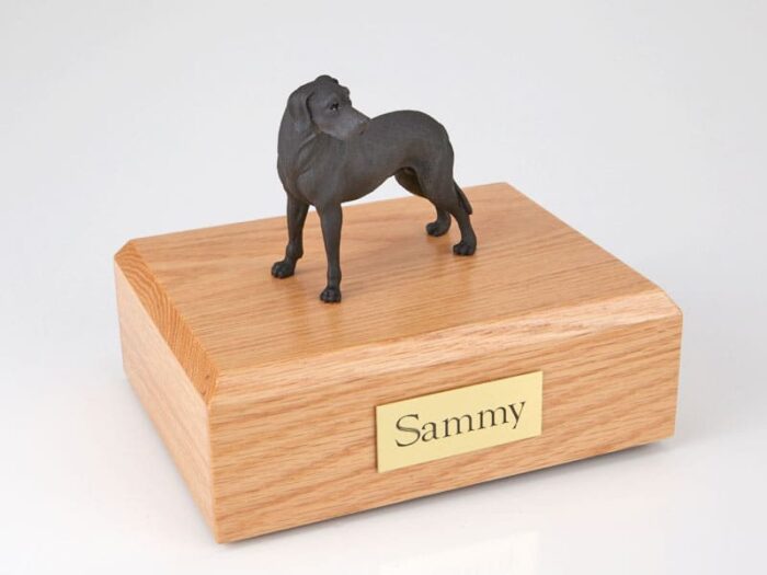 Great Dane figurine cremation urn w/wood box