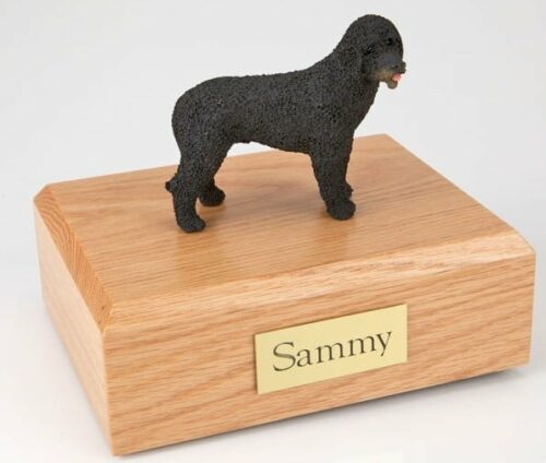 Portuguese Water Dog