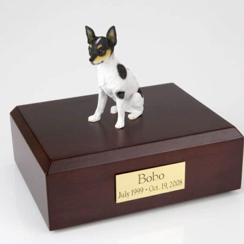 Rat Terrier