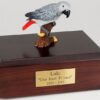 African Gray Parrot figurine cremation urn w/wood box