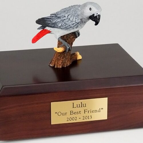 African Gray Parrot figurine cremation urn w/wood box