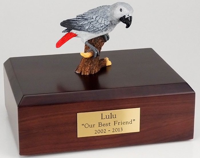 African Gray Parrot figurine cremation urn w/wood box