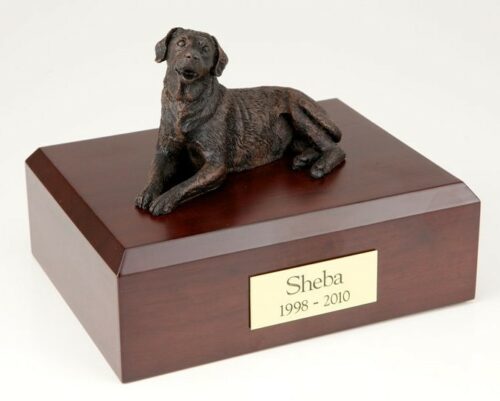 Bronze Look Labrador figurine cremation urn w/wood box