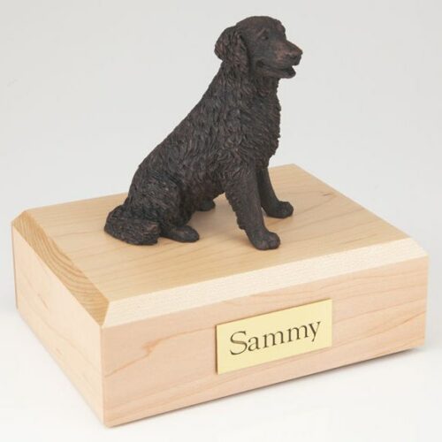 Bronze Look Labrador figurine cremation urn w/wood box