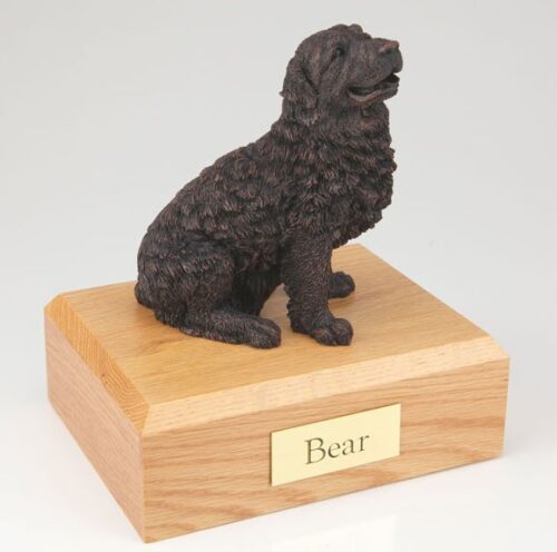 Bronze Look Newfoundland figurine cremation urn w/wood box
