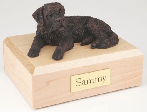 Bronze-look Saint Bernard figurine cremation urn w/wood box