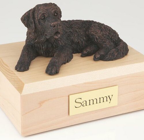 Bronze-look Saint Bernard figurine cremation urn w/wood box