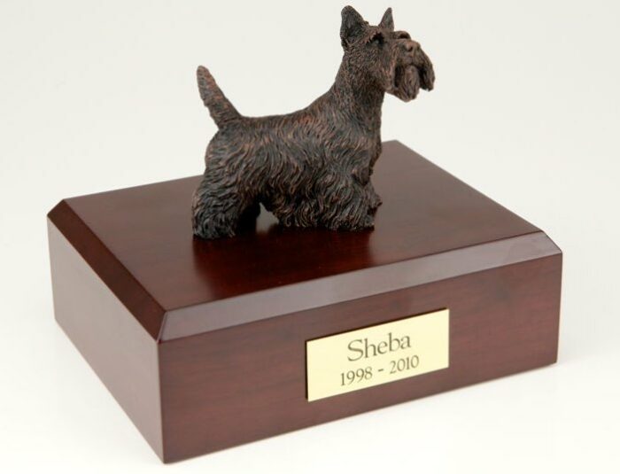 Bronze-look Scottish Terrier figurine cremation urn w/wood box