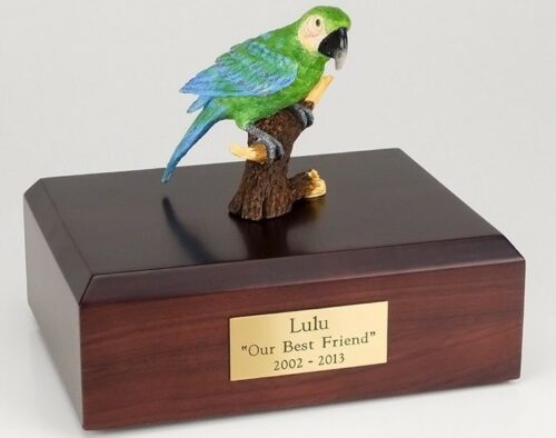 Green Parrot figurine cremation urn w/wood box