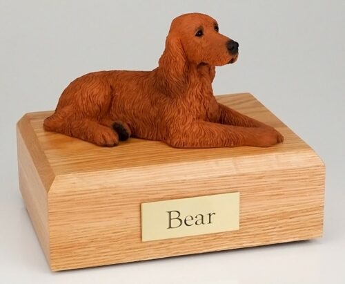 Irish Setter