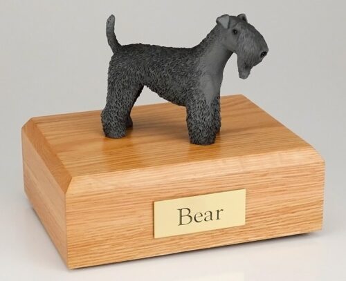 Kerry Blue Terrier