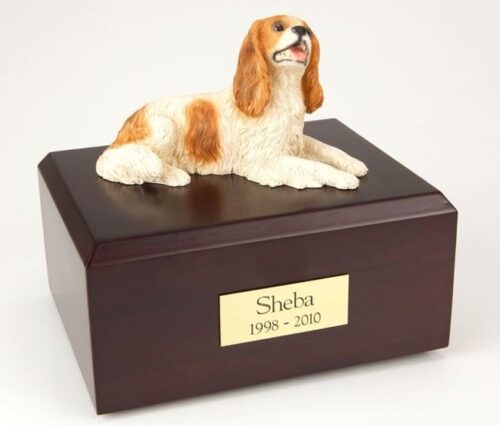 King Charles Spaniel