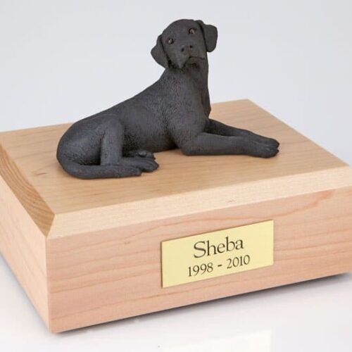 Black Labrador figurine cremation urn w/wood box