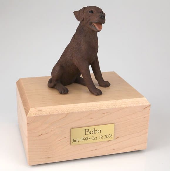 Chocolate Lab cremation figurine urn w/wooden storage box