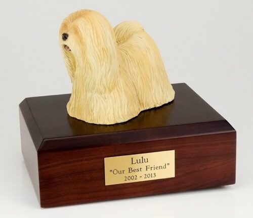 Lhasa Apso