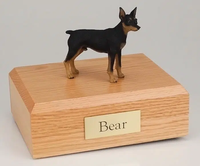 Miniature Pinscher figurine cremation urn w/wood box