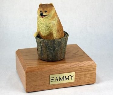 Pomeranian figurine cremation urn w/wood box