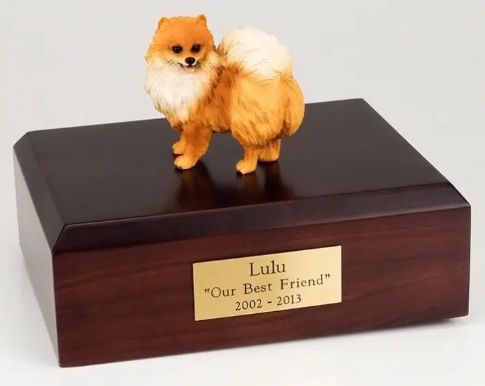 Pomeranian figurine cremation urn w/wood box