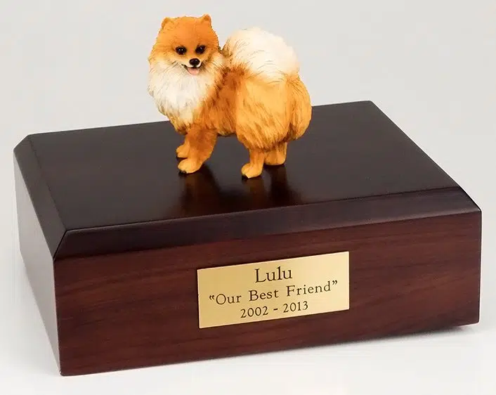 Pomeranian cremation figurine urn w 