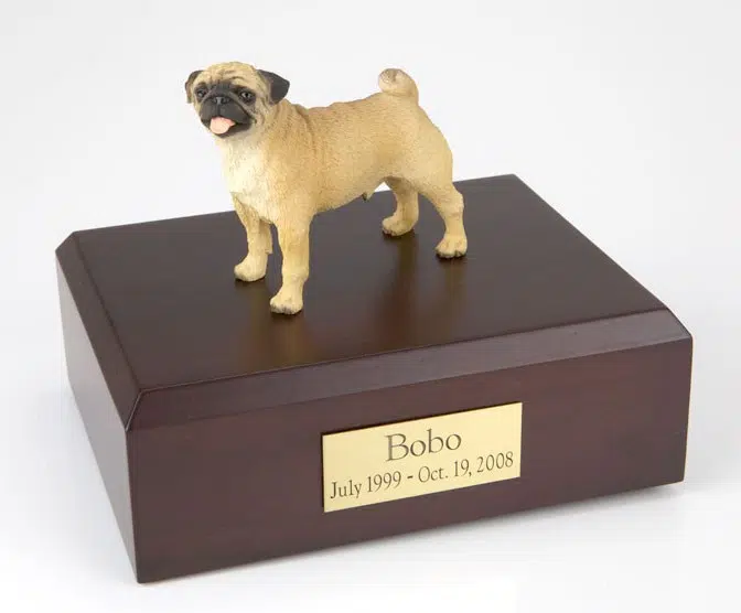 Pug figurine cremation urn w/wood box